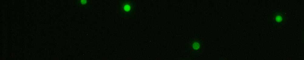 Malaria Microcapsule Vaccine